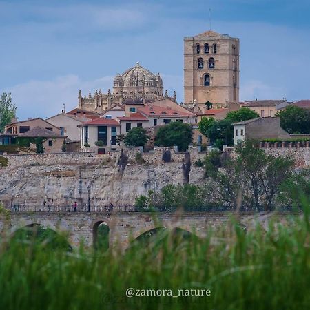 A Los Ojos Del Rio Duero Apartment ซามอรา ภายนอก รูปภาพ