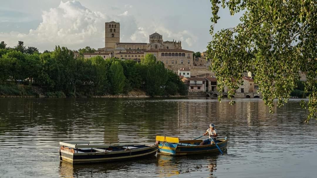 A Los Ojos Del Rio Duero Apartment ซามอรา ภายนอก รูปภาพ