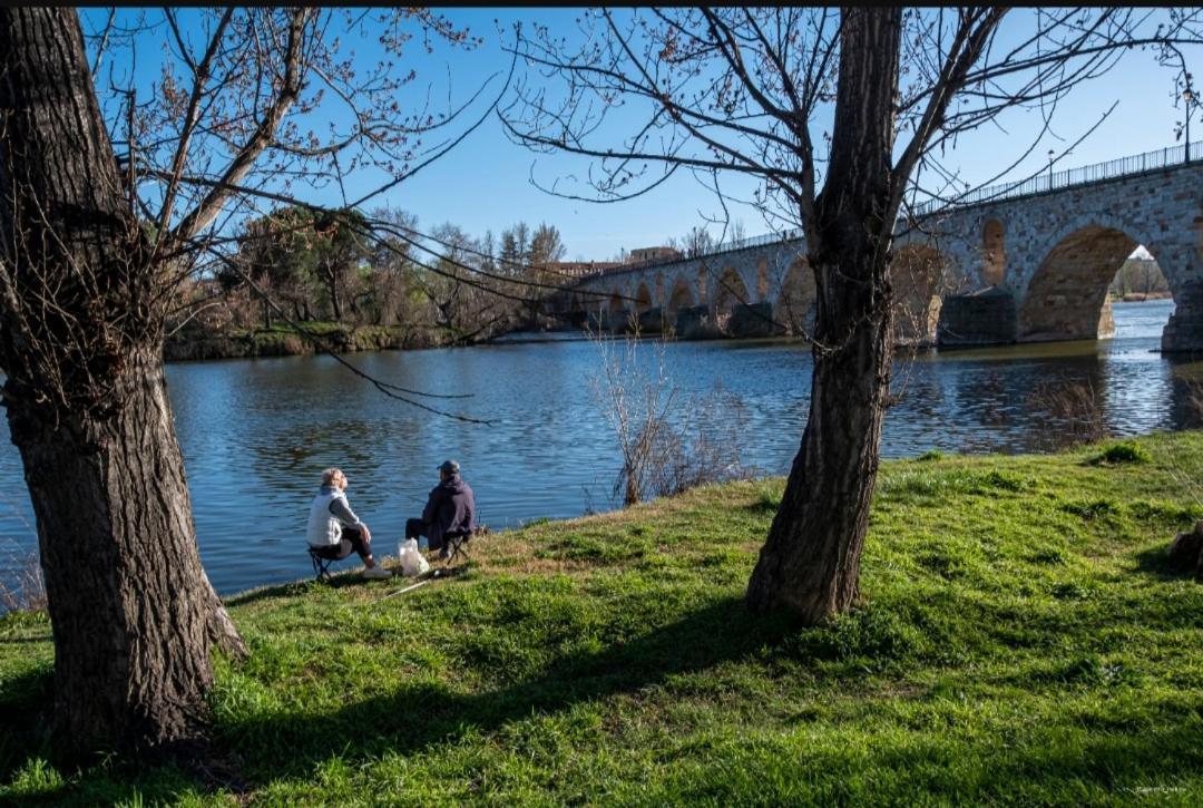 A Los Ojos Del Rio Duero Apartment ซามอรา ภายนอก รูปภาพ