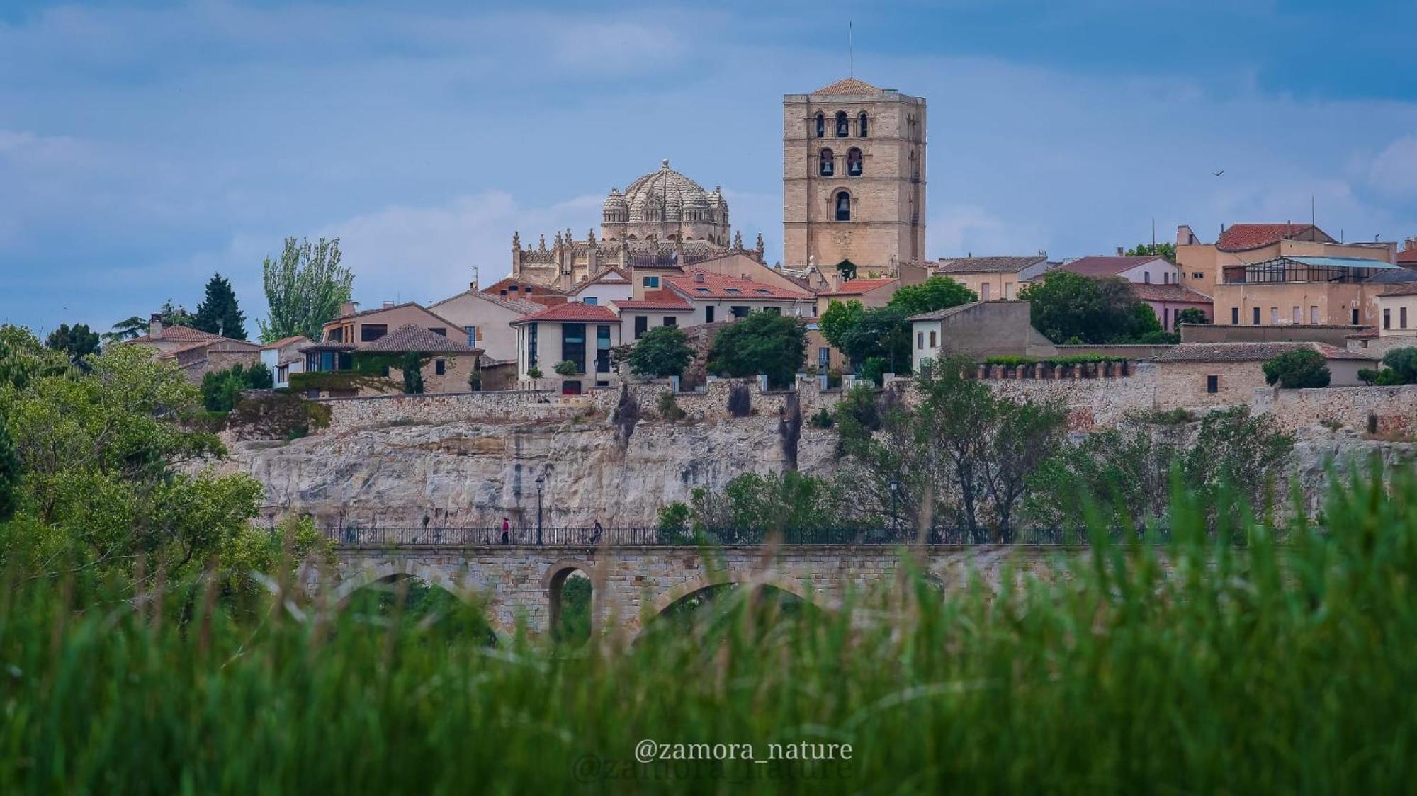 A Los Ojos Del Rio Duero Apartment ซามอรา ภายนอก รูปภาพ